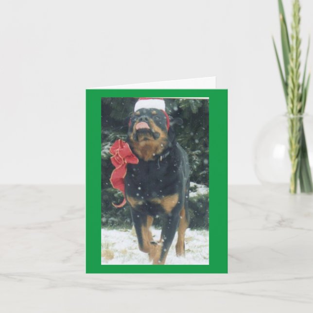 Weihnachtsrottweiler mit Schal/Weihnachtsmannmütze Karte (Vorderseite)