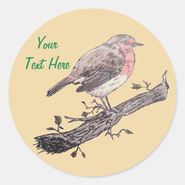 Weihnachtssaison-Robin-Bild für Weihnachten Runder Aufkleber (Vorderseite)