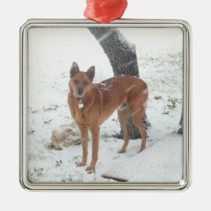 Weihnachtssammlungs-Haustier oder Familien-Foto Ornament Aus Metall