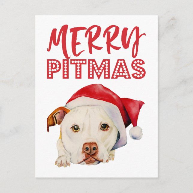 Weihnachtssankt-Pitbull-Hund | fröhliches Pitmas Feiertagspostkarte (Vorderseite)