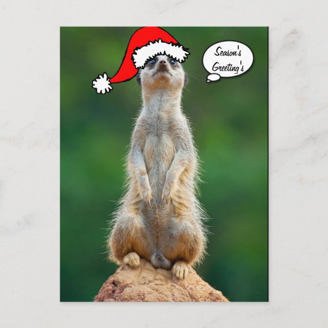 Weihnachtssankt-Präriehundgopher-Postkarte Feiertagspostkarte (Vorderseite)