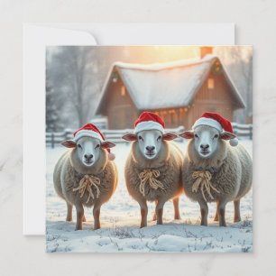 Weihnachtsschafe Feiertagskarte