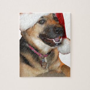 Weihnachtsschäfer