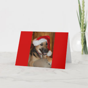 Weihnachtsschäfer Feiertagskarte