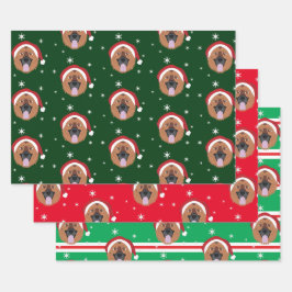 Weihnachtsschäfer Hund Schneeflocke Geschenkpapier Set
