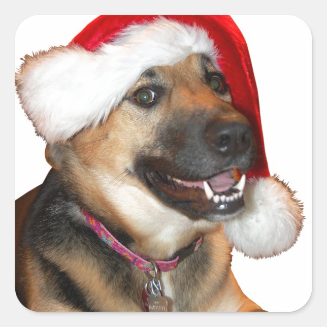 Weihnachtsschäfer Quadratischer Aufkleber (Vorderseite)