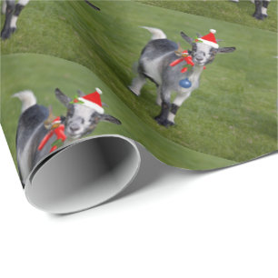 Weihnachtsschale Geschenkpapier