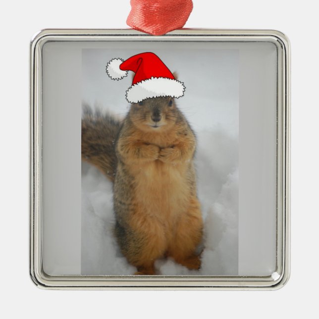 Weihnachtsscheißchen Ornament Aus Metall (Vorne)