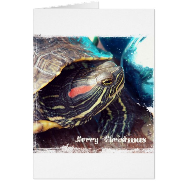 Weihnachtsschild (Vorne)