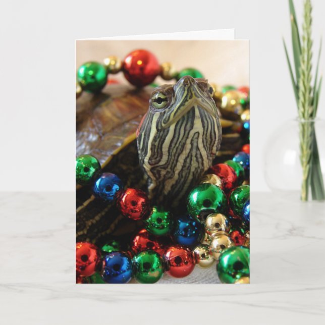 Weihnachtsschildkröte Feiertagskarte (Vorderseite)