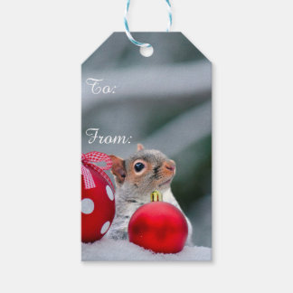 Weihnachtsschildkröten Geschenkanhänger