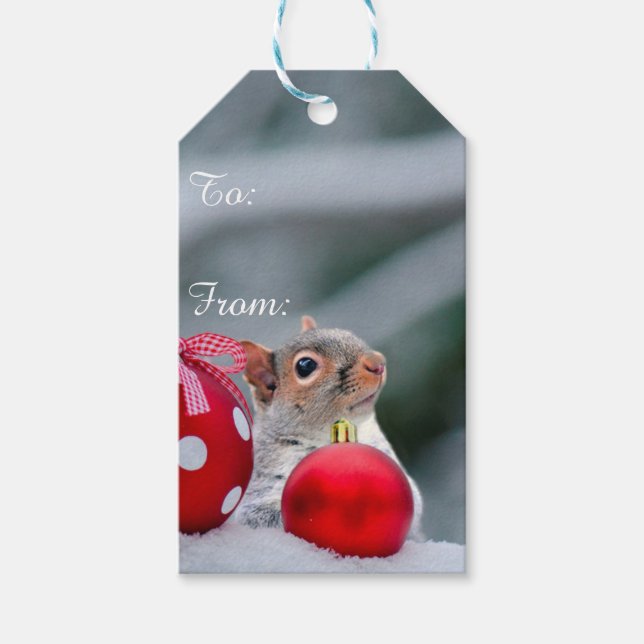 Weihnachtsschildkröten Geschenkanhänger (Vorderseite)