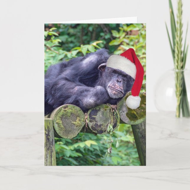 Weihnachtsschimpanse mit Weihnachtsmannmütze Karte (Vorderseite)
