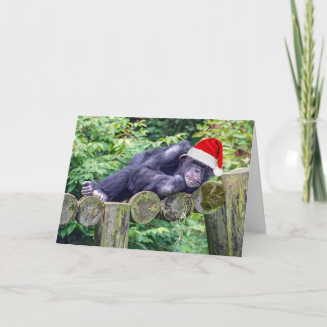 Weihnachtsschimpanse mit Weihnachtsmannmütze Karte (Vorderseite)