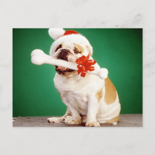 Weihnachtsschlacht mit Weihnachtsmütze und -knoche Postkarte