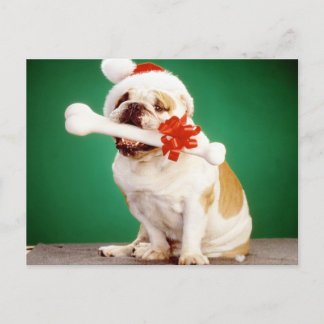 Weihnachtsschlacht mit Weihnachtsmütze und -knoche Postkarte