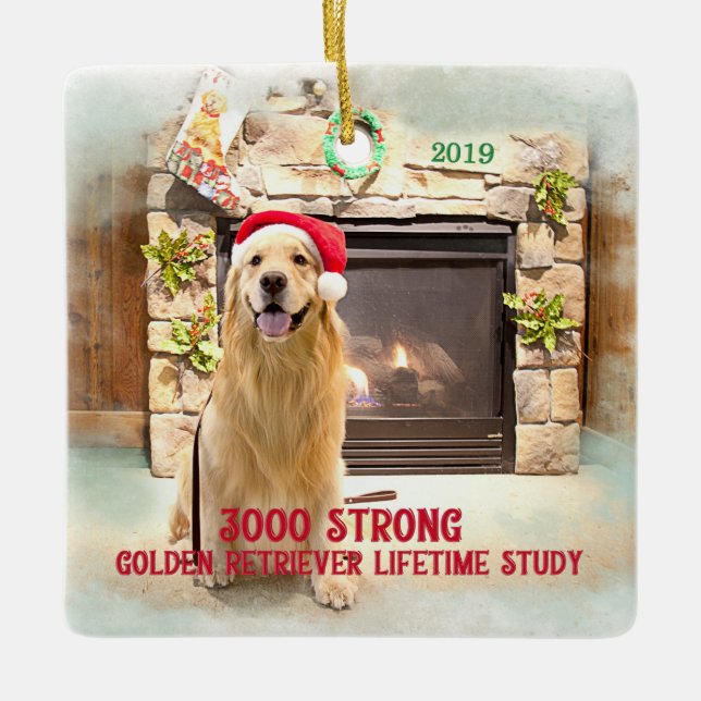 Weihnachtsschmuck 2019 - 3000 Strong (Vorderseite)