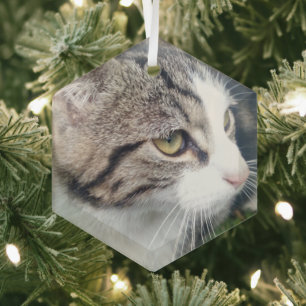 Weihnachtsschmuck aus Glas mit individuellem Foto