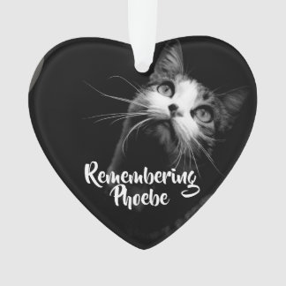 Weihnachtsschmuck Erinnern an deine Katze Ornament
