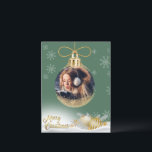 Weihnachtsschmuck Foto Schneeflocken Modernes Budg Feiertagspostkarte<br><div class="desc">Hübsche Weihnachtsschmuck mit Ihrem Lieblings-Foto hinzugefügt,  um für alle Ihre Familie und Freunde personalisieren. Die perfekte Karte für die Person mit einem Budget.</div>