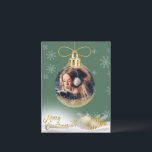 Weihnachtsschmuck Foto Schneeflocken Modernes Budg Feiertagspostkarte<br><div class="desc">Hübsche Weihnachtsschmuck mit Ihrem Lieblings-Foto hinzugefügt,  um für alle Ihre Familie und Freunde personalisieren. Die perfekte Karte für die Person mit einem Budget.</div>