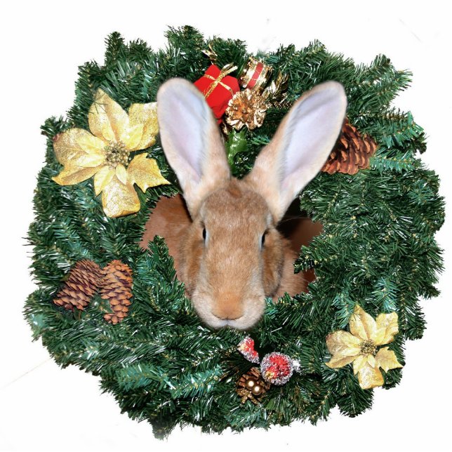 Weihnachtsschmuck Fotoskulptur Ornament (Vorne)