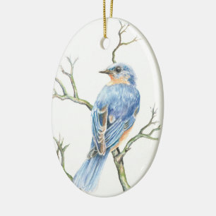 Weihnachtsschmuck mit Robin auf einem Zweig