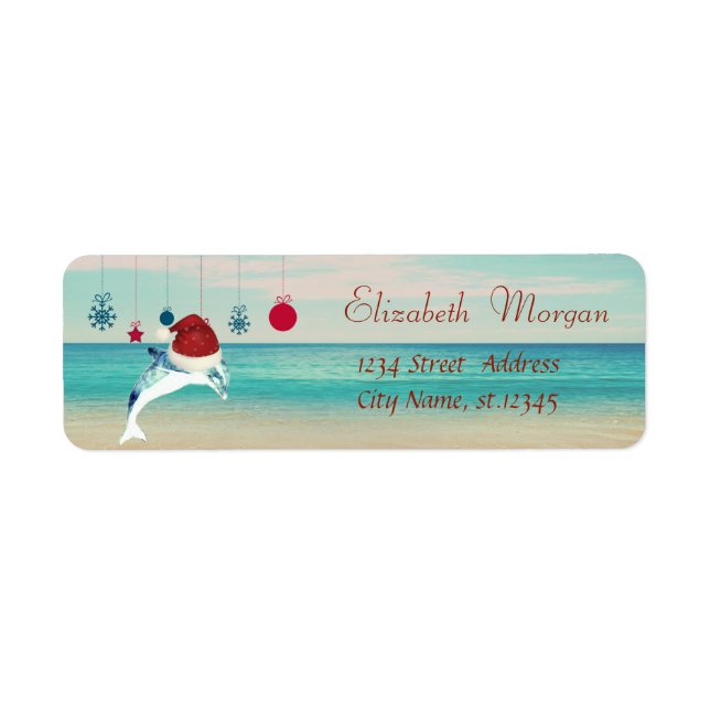 Weihnachtsschmuck, Strand, Dolphin mit Weihnachtsm (Vorne)