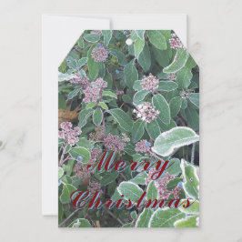 Weihnachtsschmuckkarte