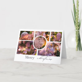 Weihnachtsschmuckkollektion #2 dankeskarte