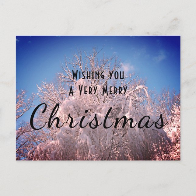 Weihnachtsschnee Bäume ! Postkarte (Vorderseite)