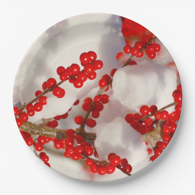 Weihnachtsschnee Roter Urlaub Berries Xmas Pappteller (Vorderseite)