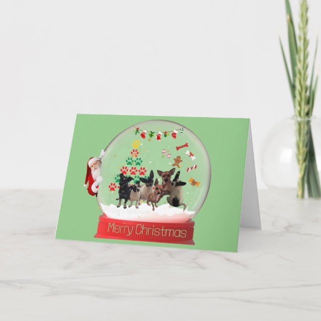 Weihnachtsschneeglobe Chihuahuas-Karte Dankeskarte (Vorderseite)