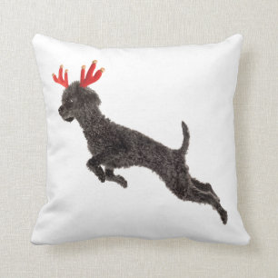 Weihnachtsschwarze Zwergpudel-Hunderen-Geweihe Kissen