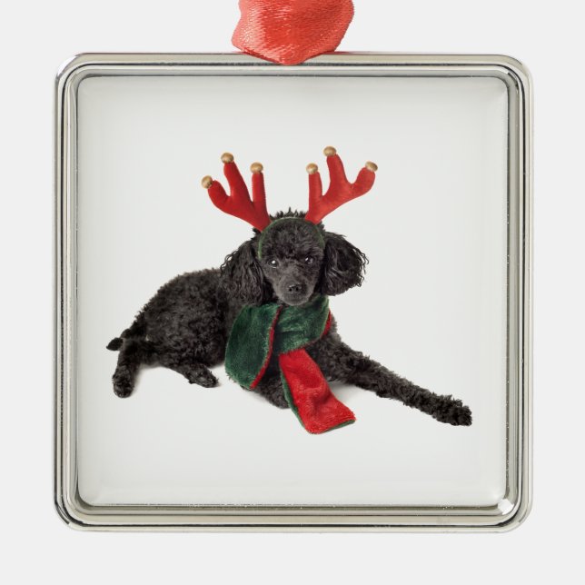 Weihnachtsschwarzer Zwergpudel-Hund gekleidet als Ornament Aus Metall (Vorne)