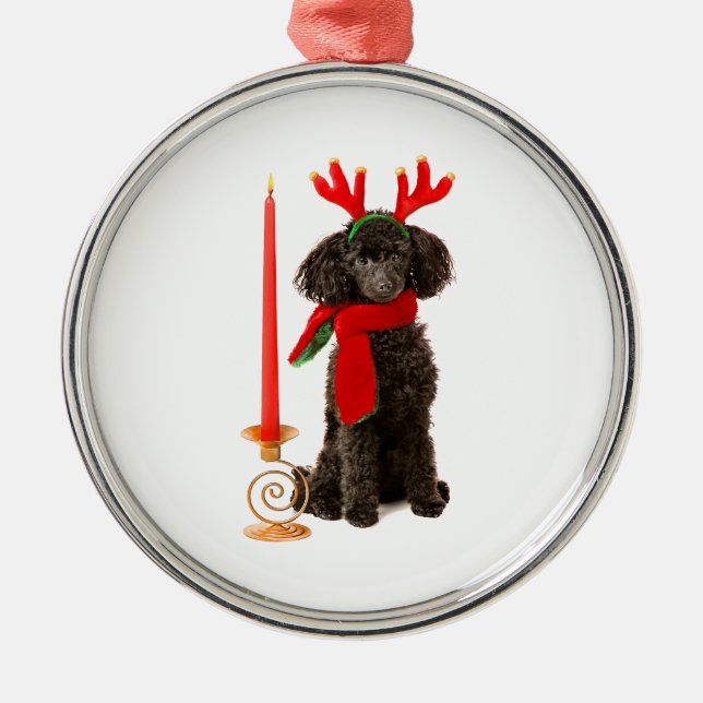 Weihnachtsschwarzer Zwergpudel-Hund gekleidet als Ornament Aus Metall (Vorne)
