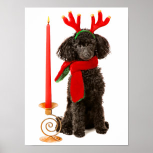 Weihnachtsschwarzer Zwergpudel-Hund gekleidet als Poster