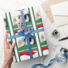 Weihnachtsschweine - Guinea Geschenkpapier