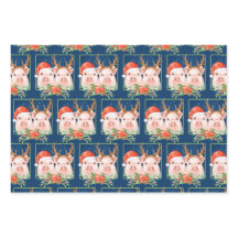 Weihnachtsschweine und Rentierschweine