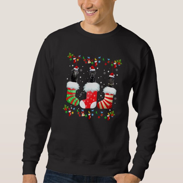 Weihnachtssocken Lights Santa Black Lab Labrador D Sweatshirt (Vorderseite)