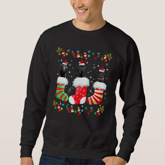 Weihnachtssocken Lights Santa Black Lab Labrador D Sweatshirt (Vorderseite)