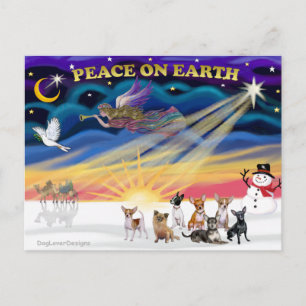 Weihnachtssonne - Chihuahuas (sieben) Feiertagspostkarte