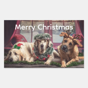 Weihnachtsspaß 3 Hunde für die Saison gekleidet Rechteckiger Aufkleber
