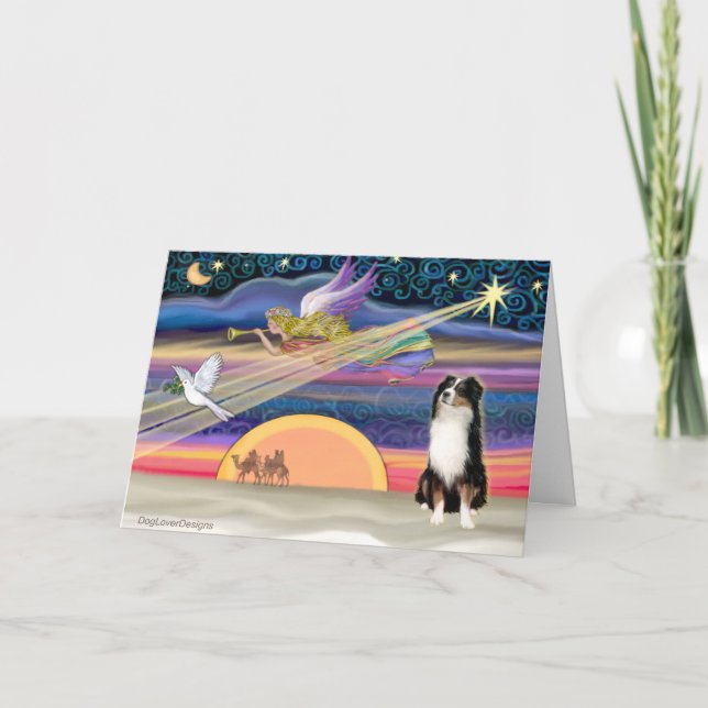 Weihnachtsstar - Australischer Hirte (Tri) Feiertagskarte (Vorderseite)