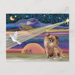 Weihnachtsstar - Chihuahua () Feiertagspostkarte