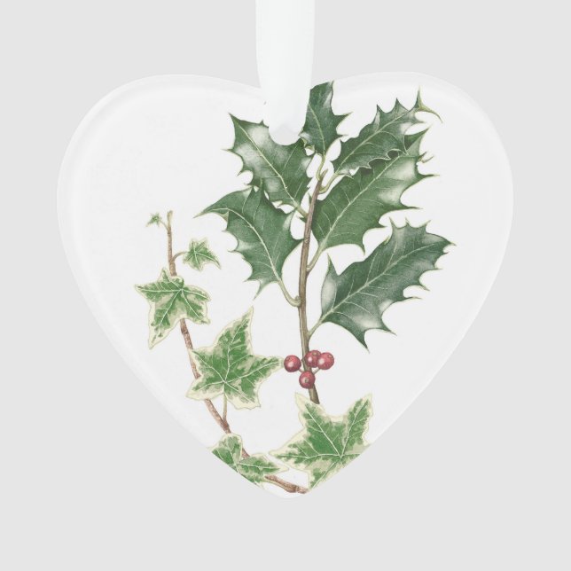 Weihnachtsstechpalmen-u. -efeu-botanische ornament (Vorderseite)