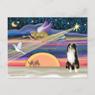 Weihnachtsstern - Australian Shepherd (Tricolor) Feiertagspostkarte