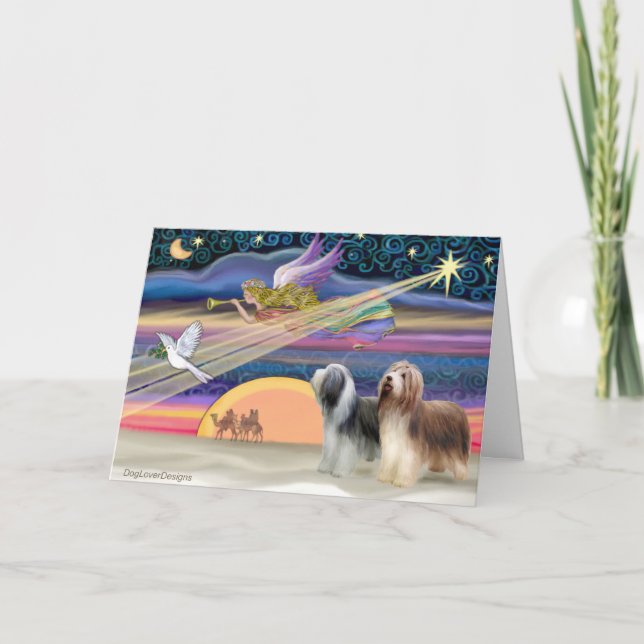 Weihnachtsstern - Bartete Colliese (zwei) Feiertagskarte (Vorderseite)