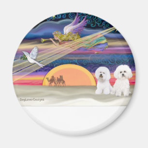 Weihnachtsstern - Bichon Frise (zwei) Magnet