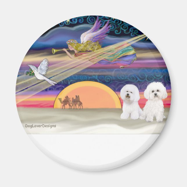 Weihnachtsstern - Bichon Frise (zwei) Magnet (Vorne)